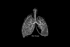 Vintage blackboard image of lungs