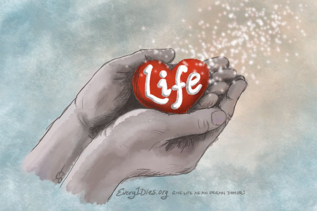 Hands holding the gift of life - organ donation