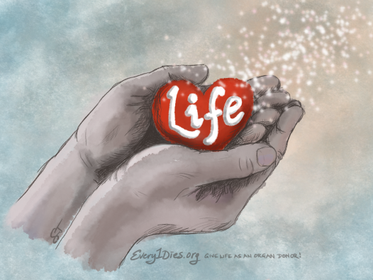 Hands holding the gift of life - organ donation