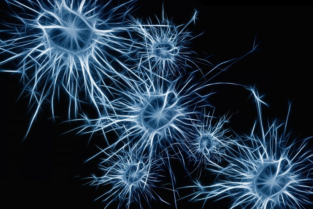 An abstract image of neurons in brain.  Learn about caring for a partner with dementia in this episode: https//every1dies.org