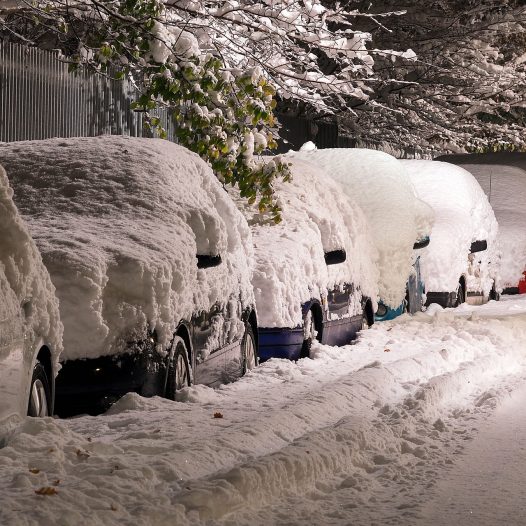A row of snow-covered cars on a snowy street.