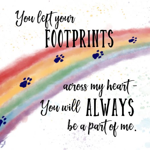 Rainbow with dog/cat prints fading to distance. (Rainbow bridge). Words You left your footprints across my heart - you will always be a part of me.