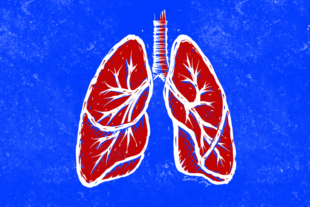 Lungs-linolium cut style in blue, red and white
