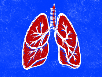 Lungs-linolium cut style in blue, red and white