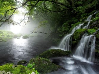 gentle waterfall over moss-covered rocks