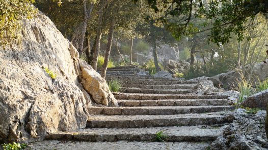 Stone steps leading uphill. Photo by Thomas Mueller