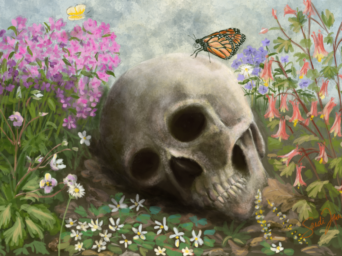 A butterfly on a skull surrounded by columbine, phlox, wild geranium