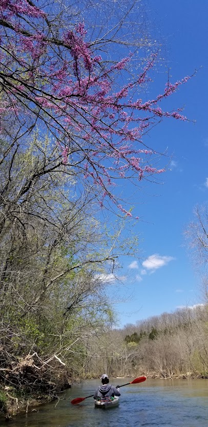 The author's son paddling on Jack's Fork River in the springtime with dogwood and redbud in bloom. (pic by Sandi Troup)
