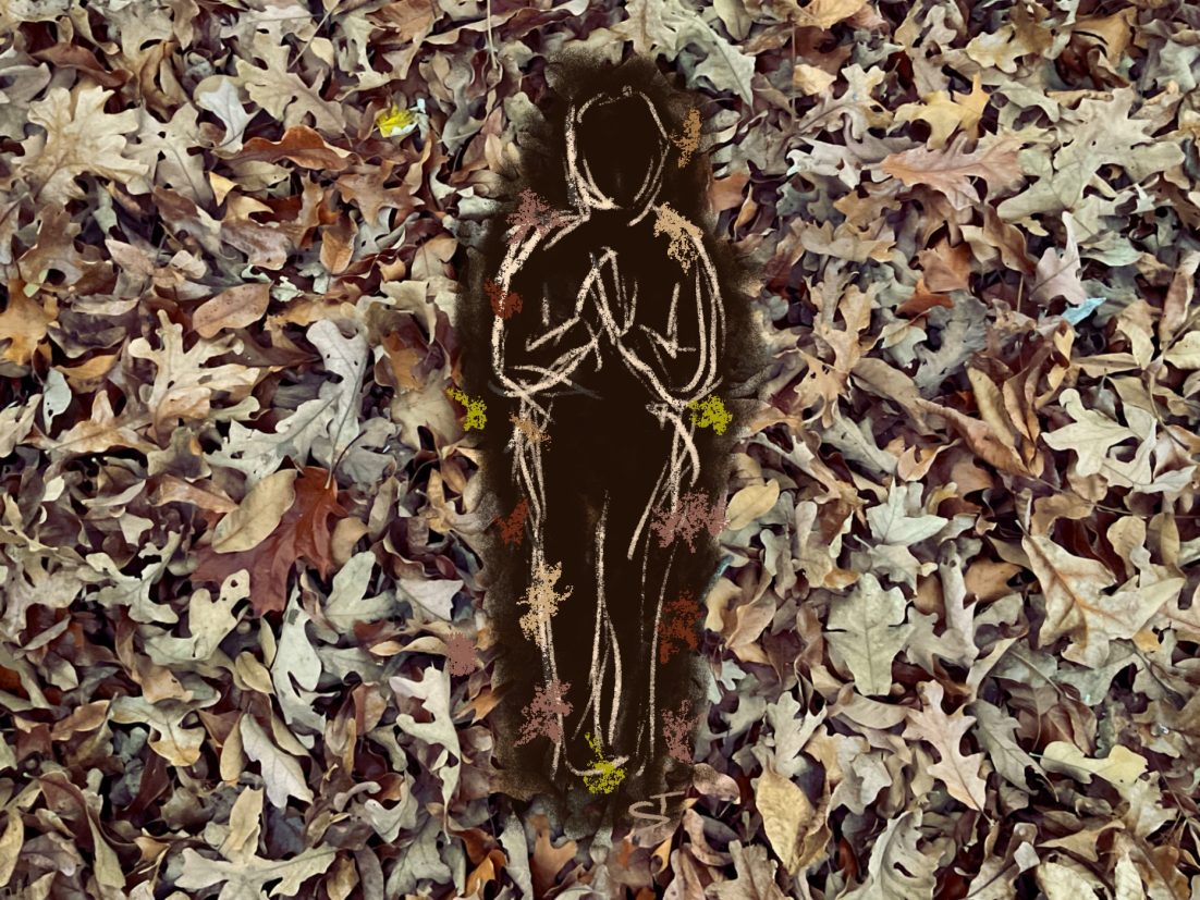 A human surrounded by leaves