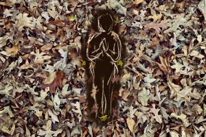 A human surrounded by leaves