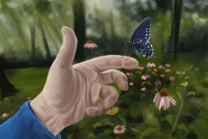 A pipevine swallowtail with purple coneflower and a forest with shafts of light. Learn about mindfulness in this episode.