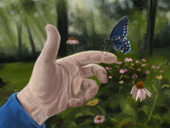 A pipevine swallowtail with purple coneflower and a forest with shafts of light. Learn about mindfulness in this episode.