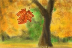 A golden maple leaf falling from a tree. Just like fall signals winter is coming, a terminal diagnosis looms over caregivers too in expectation. Learn how to cope through the time to come https://every1dies.org