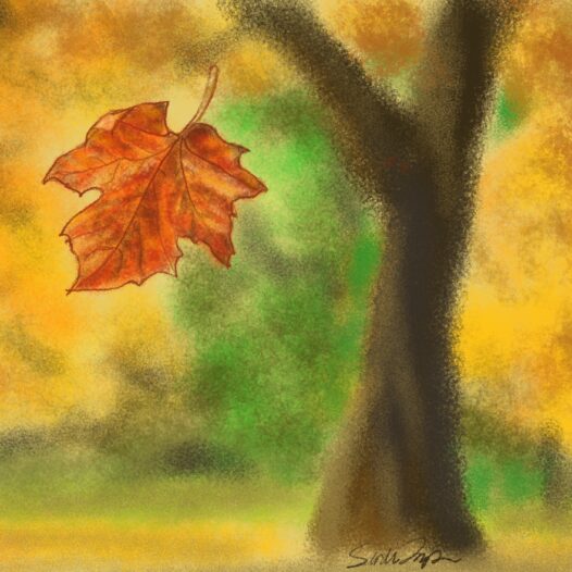 A golden maple leaf falling from a tree. Just like fall signals winter is coming, a terminal diagnosis looms over caregivers too in expectation. Learn how to cope through the time to come https://every1dies.org