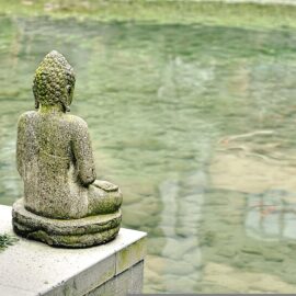 A stone Buddha statue by a contemplative pond with koi.