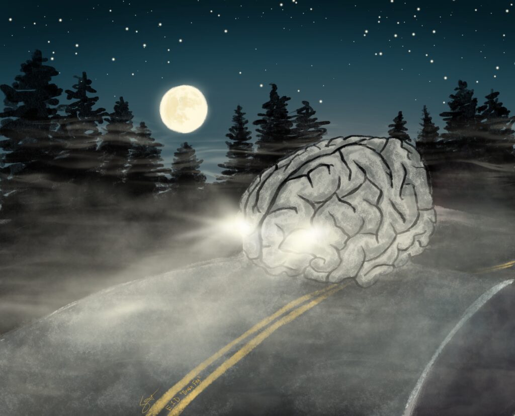A brain "driving" down a dark foggy road at night with dark trees and moon in the background. Listen to the S3E46 episode about brain fog. (https://everyonedies.org)