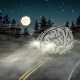 A brain "driving" down a dark foggy road at night with dark trees and moon in the background. Listen to the S3E46 episode about brain fog. (https://everyonedies.org)