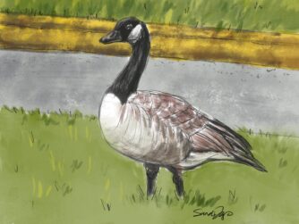 A goose stands bewildered by a road where its mate died. We talk about moving forward in this episode https://every1dies.org