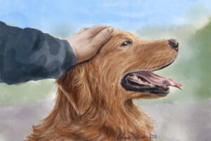 A man's hand on the head of a smiling golden retriever. We talk about a man who chose to be home with his dog rather than have chemo for his advanced cancer