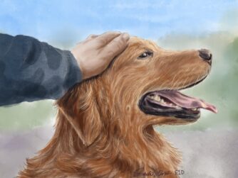 A man's hand on the head of a smiling golden retriever. We talk about a man who chose to be home with his dog rather than have chemo for his advanced cancer