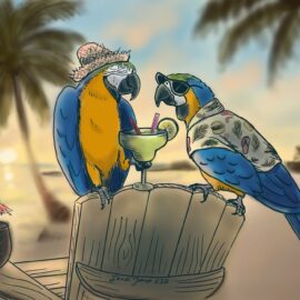 An illustration of two parrots sipping a margarita on the beach at sunset. In honor of Jimmy Buffett we talk about his life and the skin cancer that killed him.