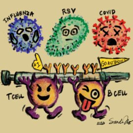 Emoji T-Cell and B-Cell (with attitude) carrying a vaccine syringe with antibodies on top, sporting a finger #1 and pennant saying "Go Antibodies". 3 viruses - the influenza, RSV, and COVID - have fear, surprise and "I'm dead" emojis on their faces. Get a rundown of important fall vaccines in this episode, especially for immune-compromised individuals. https://every1dies.org