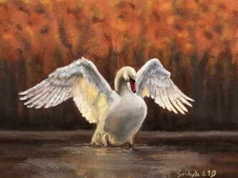A swan standing in a still pool with fall colors behind it. Its wings are backlit by a warm evening sun. We talk about the background of a "swan song" in this episode. https://every1dies.org