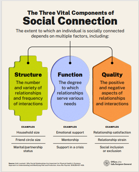 The three vital components of social connection: structure, function and quality.  From Our Epidemic of Loneliness and Isolation