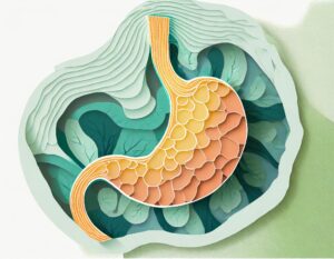 A torn-paper image of a stomach. Learn about stomach cancer in this episode