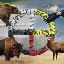 A representation of a medicine wheel with some of the animals that may be associated with the quadrants. Note that each tribe has different interpretations and customs.