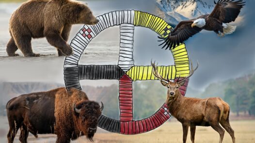 A representation of a medicine wheel with some of the animals that may be associated with the quadrants. Note that each tribe has different interpretations and customs.
