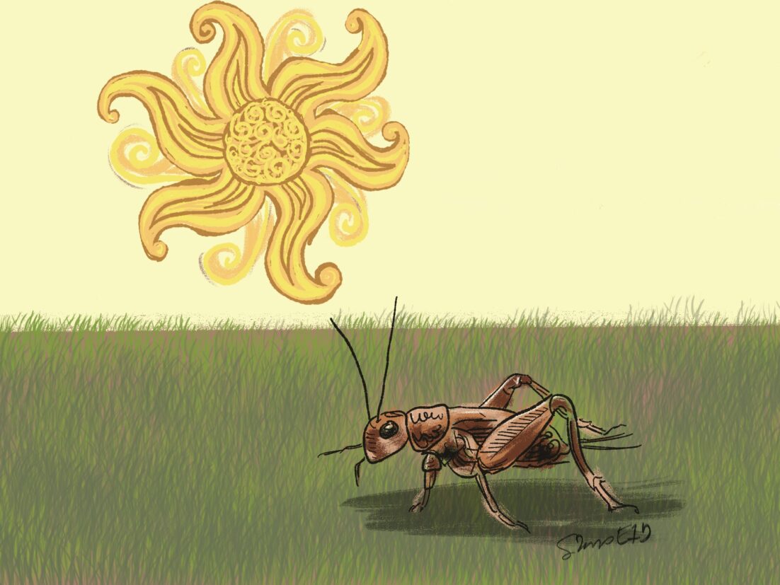 A stylized representation of the sun with a hazy sky. A cricket is in the foreground on grass. We talk about future deaths and crickets as a protein source in this episode. https://every1dies.org