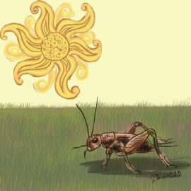 A stylized representation of the sun with a hazy sky. A cricket is in the foreground on grass. We talk about future deaths and crickets as a protein source in this episode. https://every1dies.org