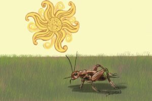 A stylized representation of the sun with a hazy sky. A cricket is in the foreground on grass. We talk about future deaths and crickets as a protein source in this episode. https://every1dies.org