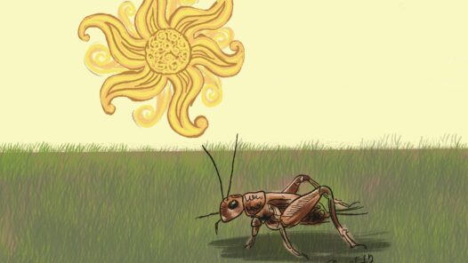 A stylized representation of the sun with a hazy sky. A cricket is in the foreground on grass. We talk about future deaths and crickets as a protein source in this episode. https://every1dies.org
