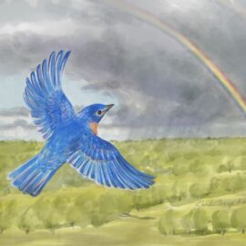 A male bluebird flying high in the sky. A storm cloud with double rainbow is in the background. We talk about how VR helps with palliative care in this episode. https://every1dies.org