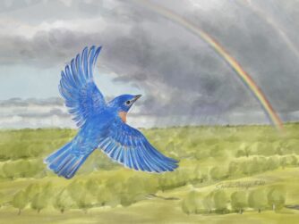 A male bluebird flying high in the sky. A storm cloud with double rainbow is in the background. We talk about how VR helps with palliative care in this episode. https://every1dies.org