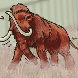 A resurrected wooly mammoth in a zoo on a rampage. In addition to this possible way to die, we talk about the things you need to do to prepare your assets for the "digital afterlife". https://every1dies.org