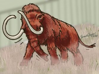 A resurrected wooly mammoth in a zoo on a rampage. In addition to this possible way to die, we talk about the things you need to do to prepare your assets for the "digital afterlife". https://every1dies.org