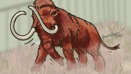 A resurrected wooly mammoth in a zoo on a rampage. In addition to this possible way to die, we talk about the things you need to do to prepare your assets for the "digital afterlife". https://every1dies.org