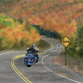 A motorcycle rider taking a leisurely ride through a scenic fall landscape. We talk about taking the "slow road" to death by making healthy life choices. https://every1dies.org