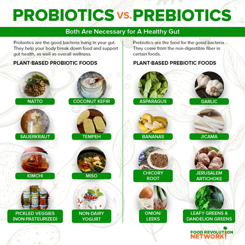 A graphic with plant-based prebiotic and probiotic foods to improve your gut microbiome