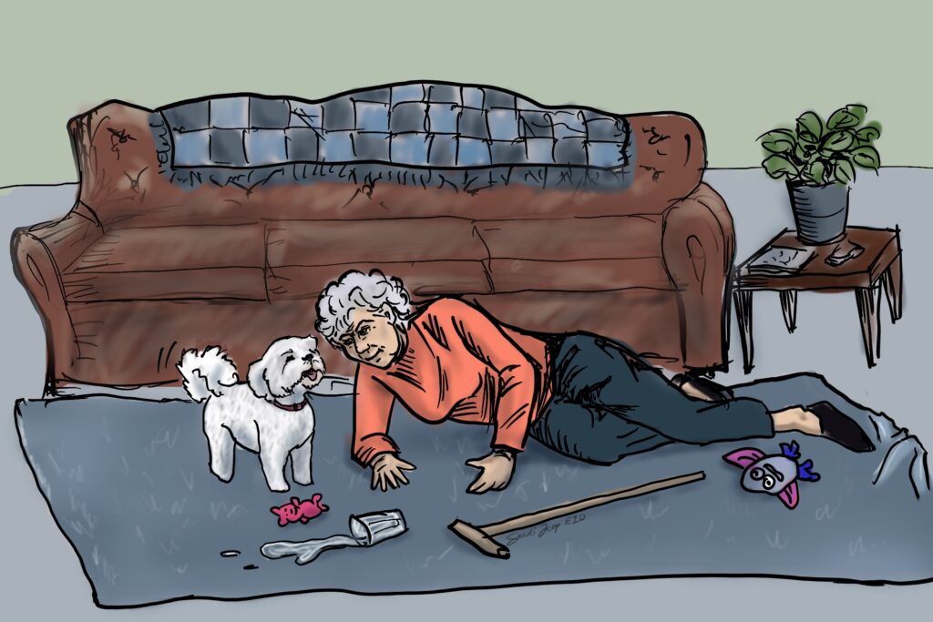 A woman that recently fell on the floor. A cane and spilled glass of water are on a rug, which looks like she tripped on. There are dog toys on the rug and a small dog looking expectantly at the lady. We talk about how to reduce risk of falls in this episode. https://every1dies.org
