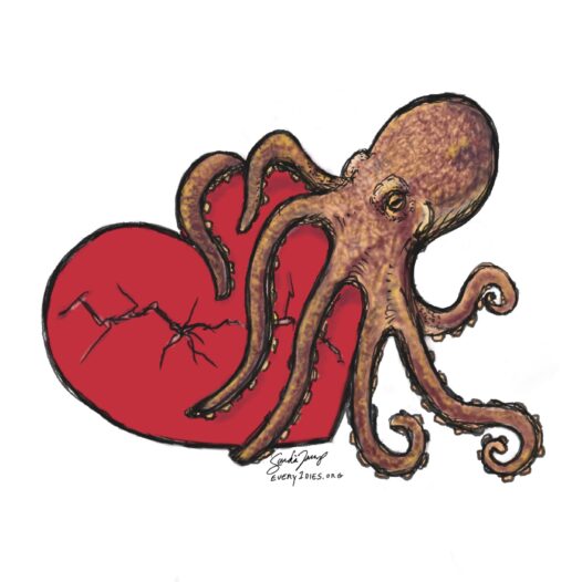 An octopus cradling a broken heart. We talk about Takotsubo cardiomyopathy - named for a Japanese octopus trap - in this episode. https://every1dies.org