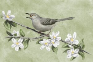 A mockingbird singing from a blossoming cherry tree. We talk about cancer staging in this episode, and explain the TNM nomenclature. https://every1dies.org