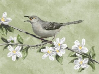 A mockingbird singing from a blossoming cherry tree. We talk about cancer staging in this episode, and explain the TNM nomenclature. https://every1dies.org