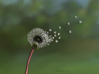 A dandelion shedding its seeds in the breeze. We use this as a metaphor for metastatic cancer. Learn about what it is and why it spreads in this episode. https://every1dies.org