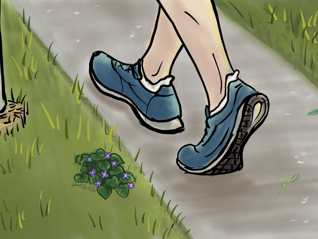 Someone is walking past a violet growing by a park pathway hidden in the grass. We talk about being seen, heard and understood in this episode. https://every1dies.org