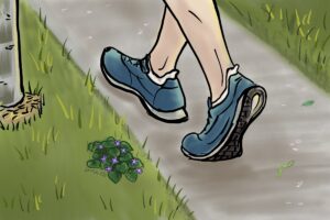 Someone is walking past a violet growing by a park pathway hidden in the grass. We talk about being seen, heard and understood in this episode. https://every1dies.org
