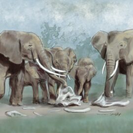 A herd of elephants pauses to explore the bones of another elephant. They appear to be solemn, as we discuss this phenomenon. The piece is titled "Remembrance"